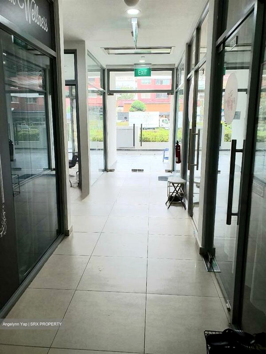 Suites @ Bukit Timah (D21), Shop House #466744061